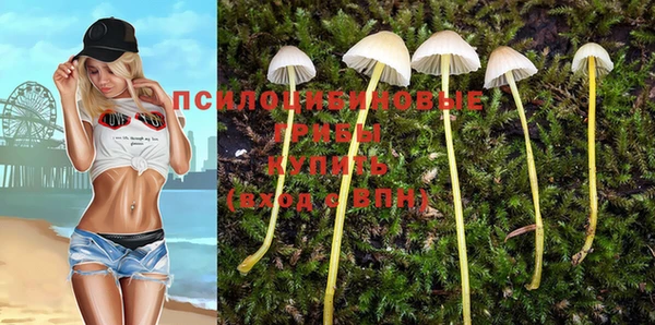2c-b Богородицк