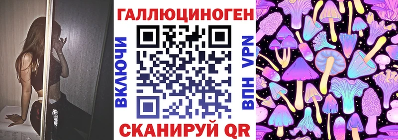 Купить  Кукмор  Псилоцибиновые грибы Psilocybe 